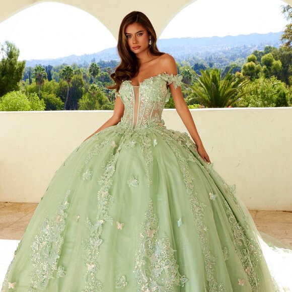 JT Dresses & Skirts - New Ceremonial Long Quinceanera Gown w/ Floral Applique & Long Train JT1485J